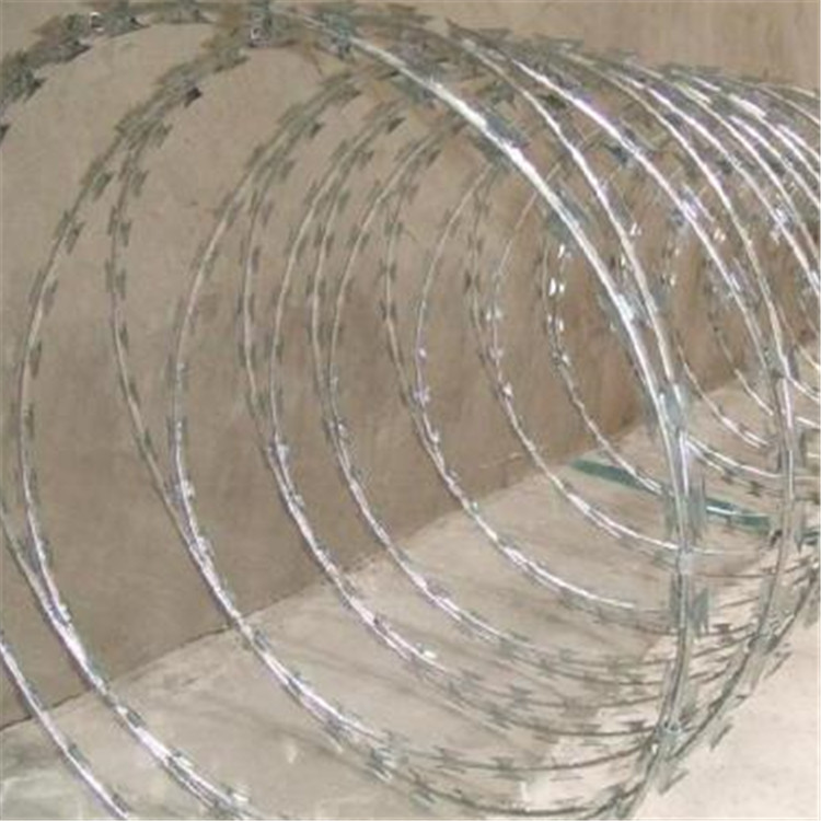 刀刺網案例展示